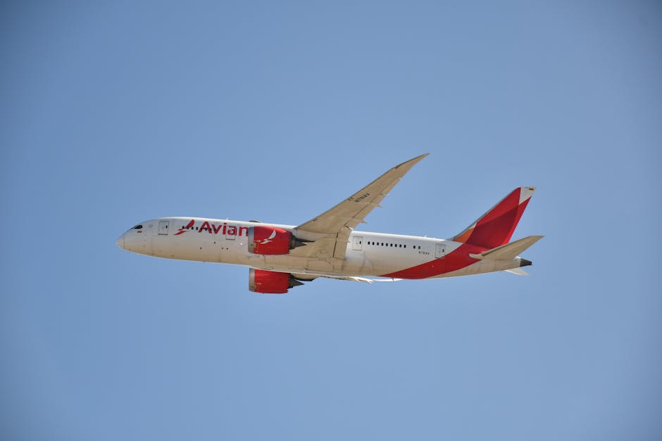 A commercial passenger airplane flying against a clear blue sky, showcasing travel and aviation.