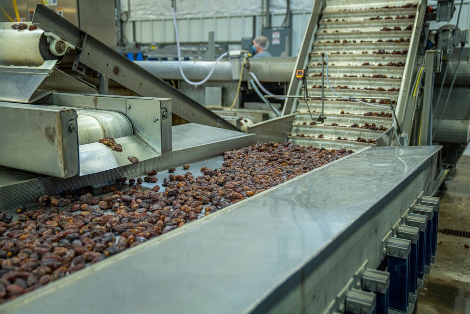 upcycled food factory fruit pomace spent grain processing