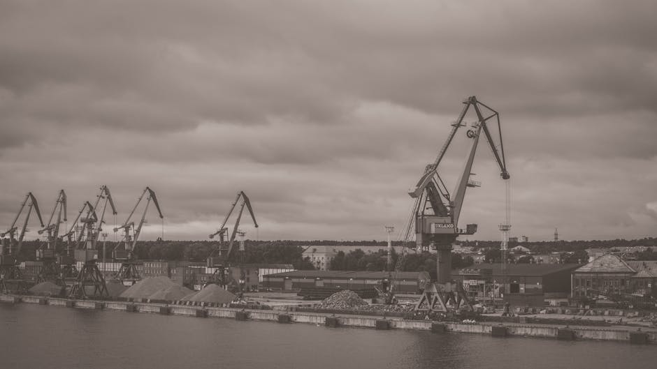 Monochrome view of cranes and machinery at Klaipėda port on a cloudy day.
