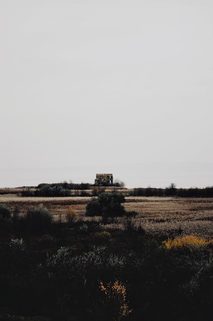 A solitary house stands in the vast, tranquil Ukrainian countryside under a moody sky.