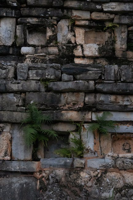 Historical stone wall with ferns in Ciudad de Cuetzalan, Mexico, showcasing ancient architecture and natural decay.