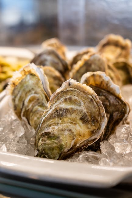 Close-up of fresh oysters on ice, showcasing their texture and freshness in a seafood setting.