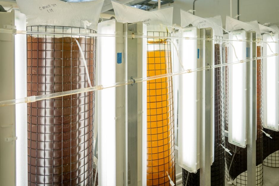 precision fermentation biotech fermenters lab collagen