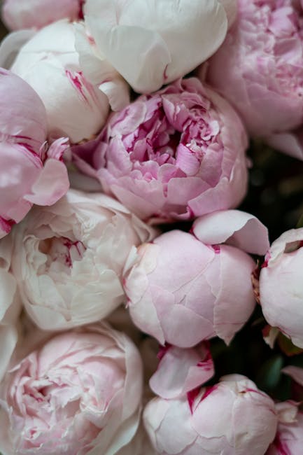 close-up bouquet petals soft light smartphone macro florist