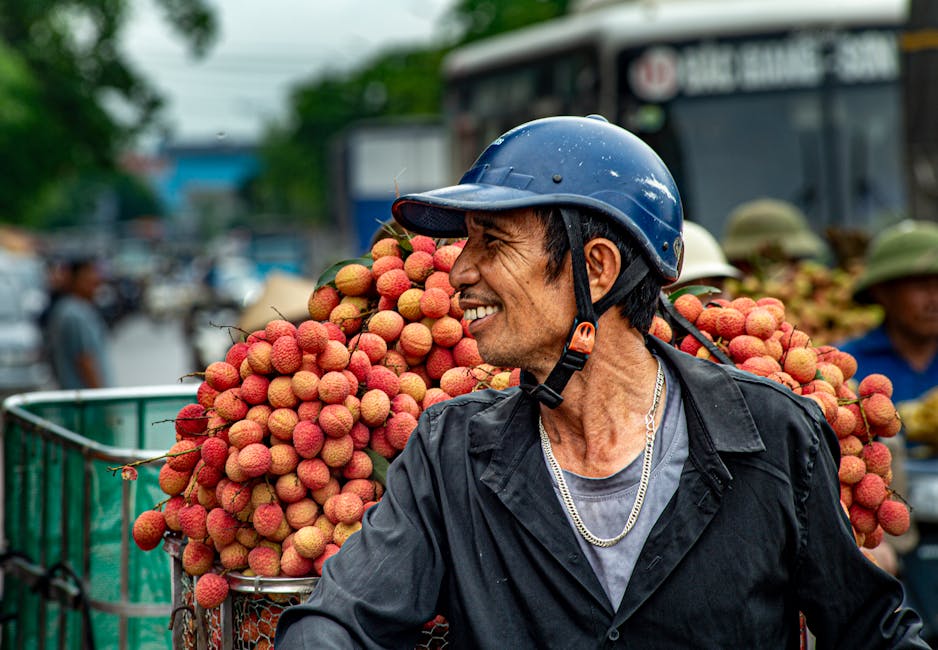 A happy man at a vibrant lychee harvest in Bac Giang, showcasing Vietnamese culture.
