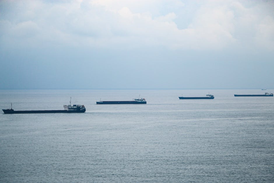 إدارة المرتجعات الدولية بذكاء: تقليل التكلفة وتحسين تجربة العملاء عند البيع في أسواق التصدير [Import and Export]