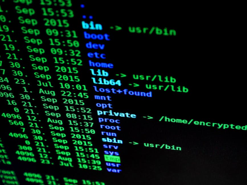 Rust code terminal hacker CTF