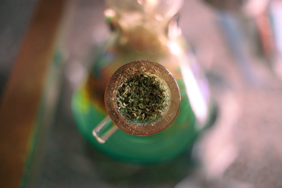 A detailed image of ground cannabis packed in a glass water pipe, highlighting its intricate texture.