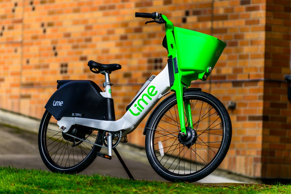 shared mobility e-scooters bike share