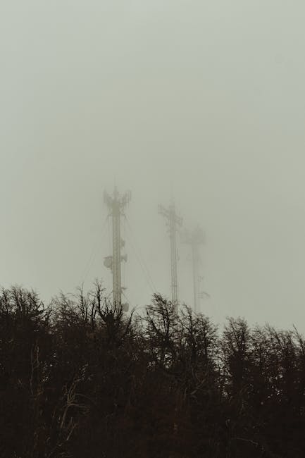 Communication towers shrouded in mist overleafless trees in Bariloche, Argentina.