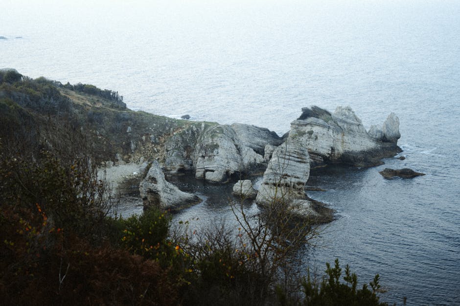 Free stock photo of ağva, bay, black sea