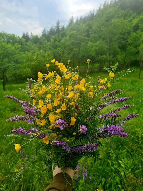native wildflowers meadow pollinators bouquet PEXELS