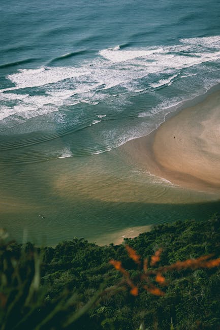 Captivating aerial view of Palhoça beach in Brazil showcasing the waves, shoreline, and lush greenery.