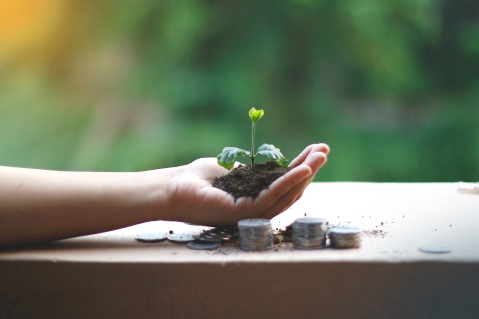 green bonds sukuk Abu Dhabi finance green investment