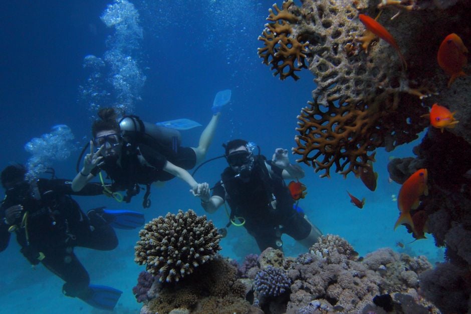 couple private dive Red Sea coral