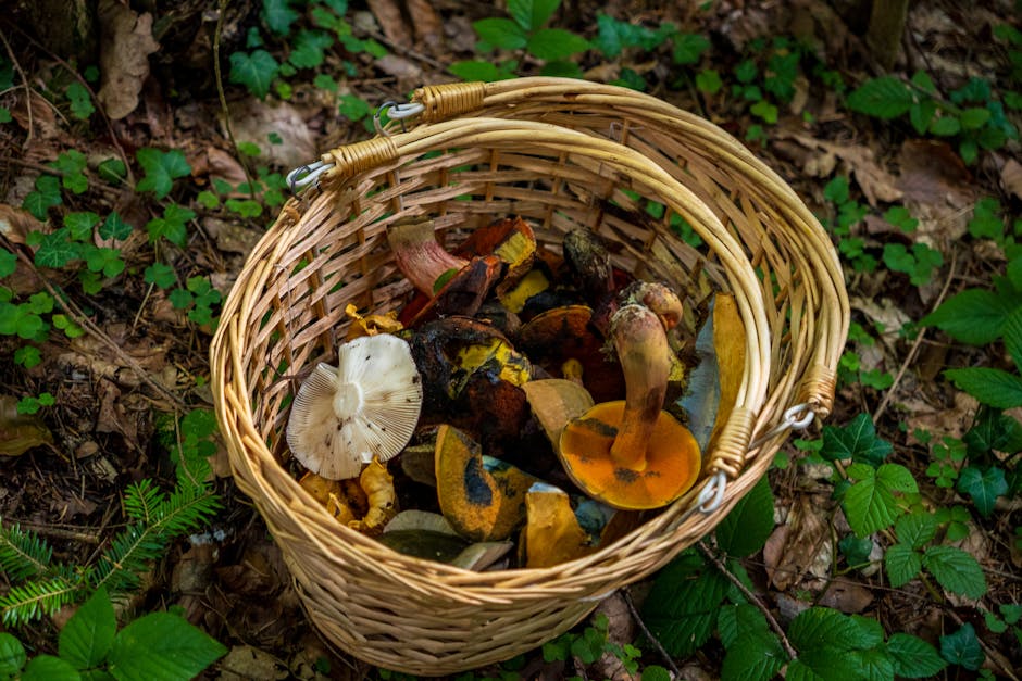 A variety of wild mushrooms in a wicker basket placed on forest ground, capturing the essence of foraging in autumn.