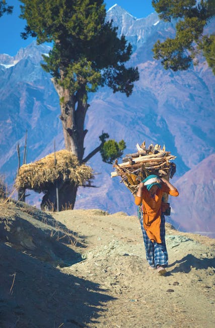 A Sherpa woman carrying firewood on a mountain trail in Karnali Province, Nepal.