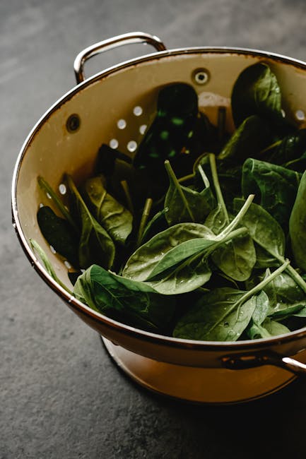 A colander filled with fresh, washed organic spinach leaves in a kitchen setting.