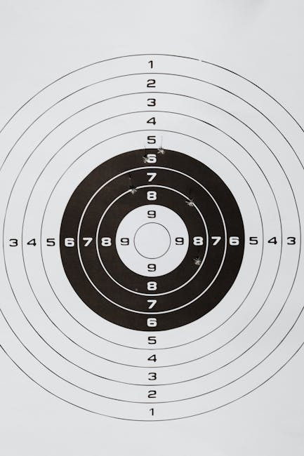 Detailed image of a shooting range paper target showing multiple rings and numbers.
