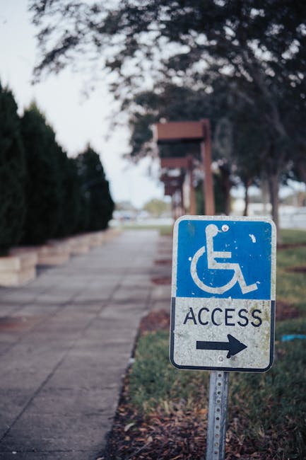 دمشق الميسّرة: طرق صديقة للحركة في المدينة القديمة والمسجد الأموي