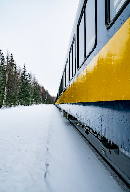 A train travels through snowy Alaskan wilderness, surrounded by pine trees.
