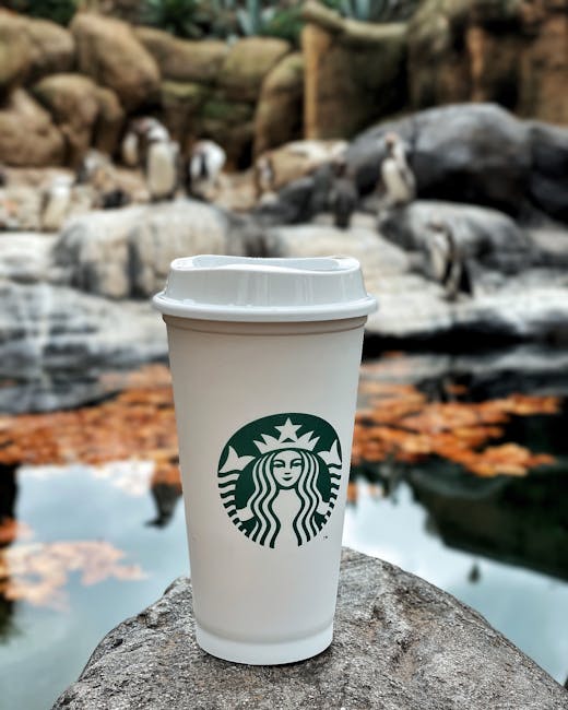 Coffee cup set against a natural backdrop with penguins in focus.