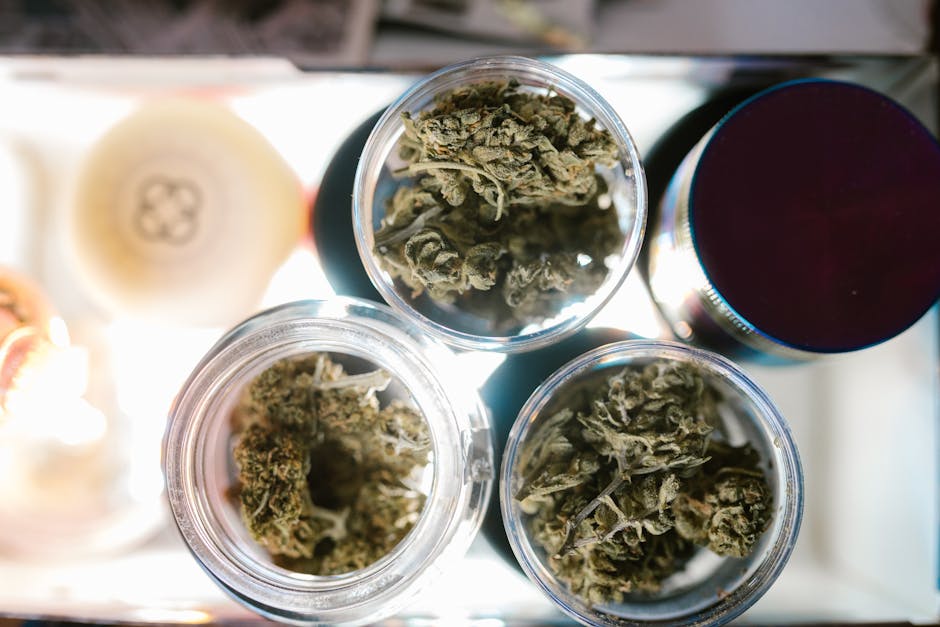 tourist buying cannabis at dispensary indoors USA
