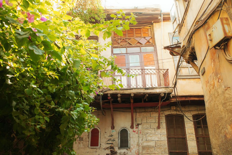 Charming historic building in Damascus, surrounded by lush greenery under bright daylight.