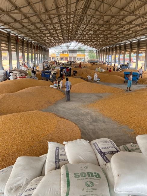 sacks of bulk chickpeas in warehouse wholesale