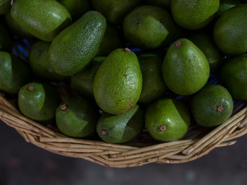 A close-up view of freshly harvested organic avocados in a wicker basket at a market.