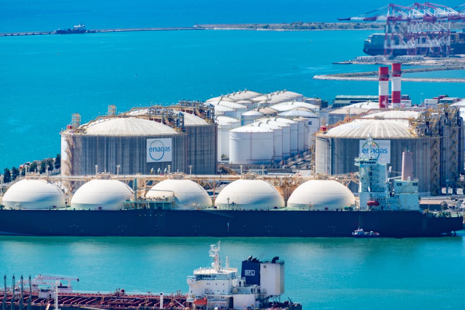 bunkering ship methanol ammonia port infrastructure green fuels