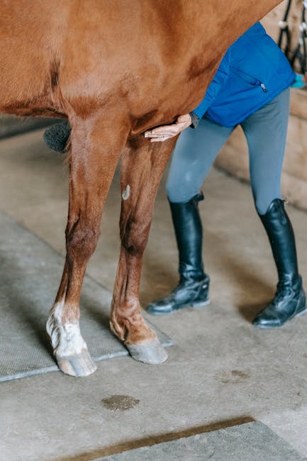 veterinarian sampling livestock farm surveillance One Health