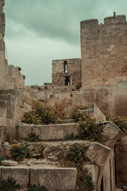 Explore the historic ruins of Aleppo Citadel, showcasing ancient architecture with blooming wildflowers.