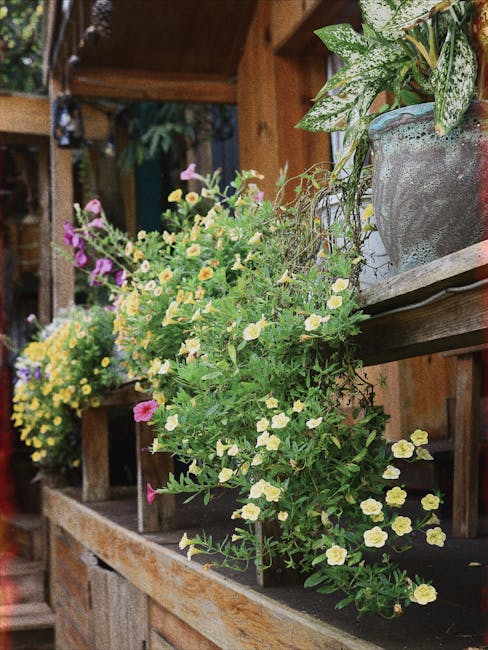 balcony hanging baskets colorful petunias calibrachoa small terrace pots