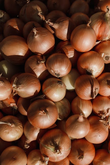 A close-up view of organic onions captured in natural light, perfect for healthy lifestyle concepts.