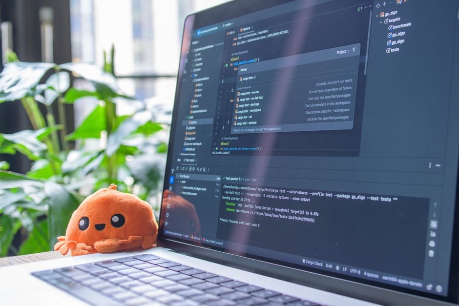 developer laptop WebAssembly Rust browser coding