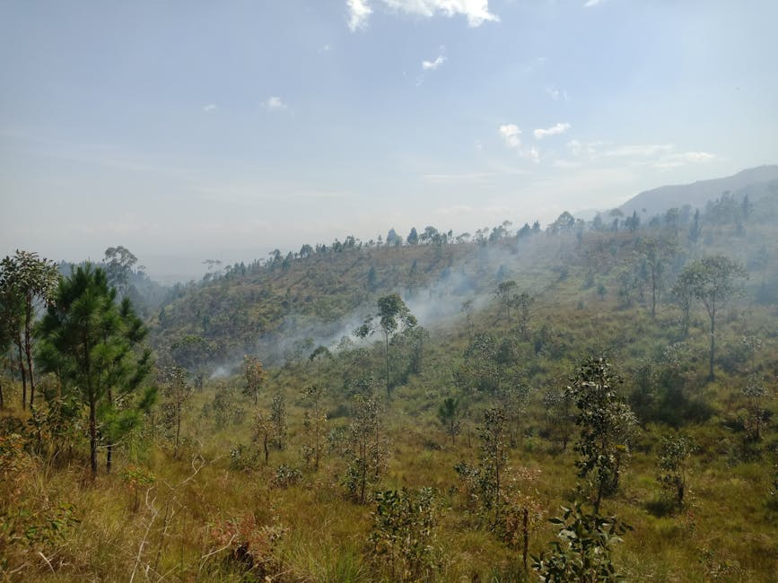 Free stock photo of adventure, aesthetic, asia