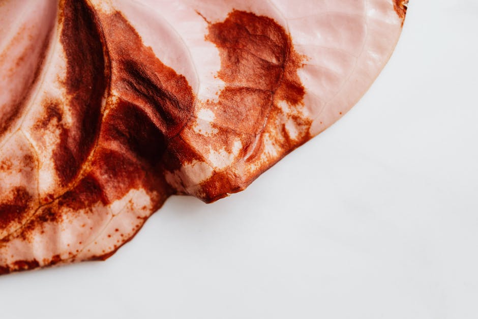 Detailed photo of a dried anthurium leaf with rich brown textures on a white surface.