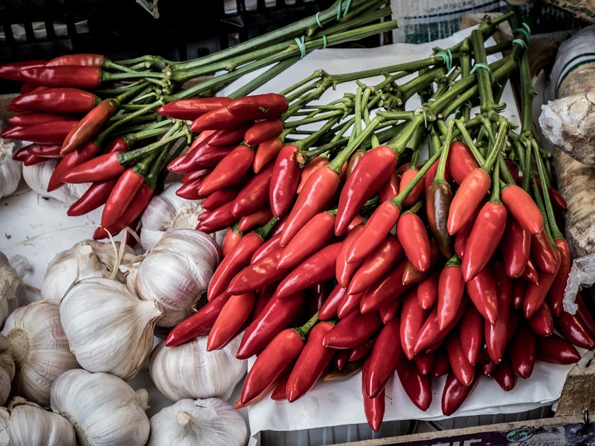 Vibrant display of red chili peppers and garlic bulbs at a farmer's market in Italy.