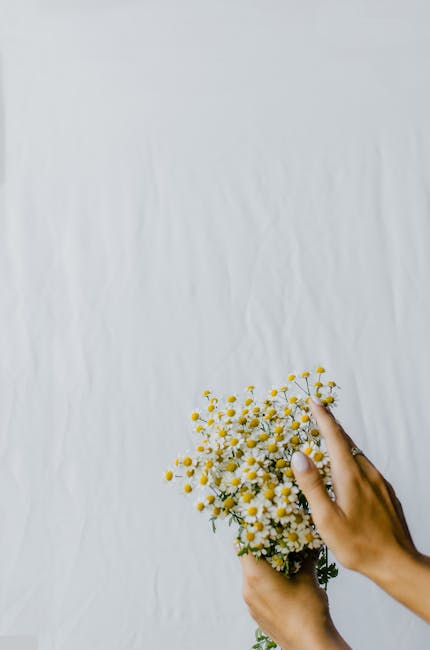 compostable floral foam alternatives florist hands