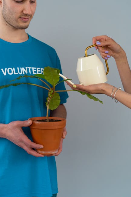 A volunteer in a blue shirt holds a potted plant while another hand pours water from a kettle.