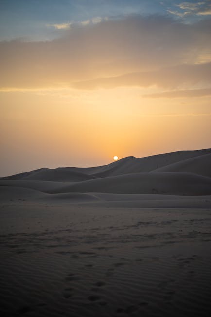 Abu Dhabi rooftop yoga sunset garden