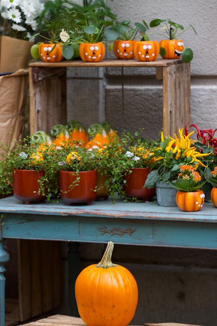 Free stock photo of 2025, 4k photo, beautiful bloom