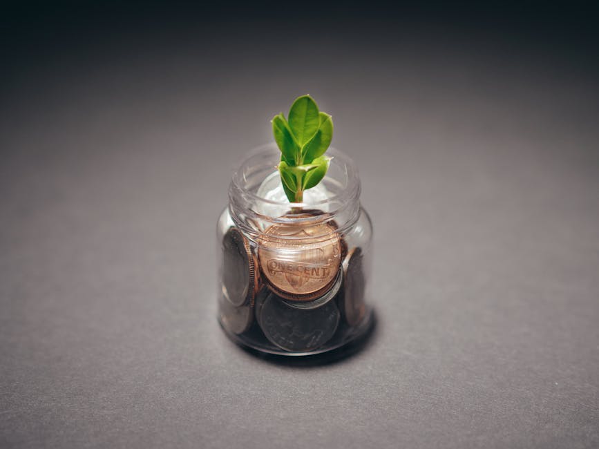 Green plant growing from a jar filled with coins, symbolizing financial growth and investment.