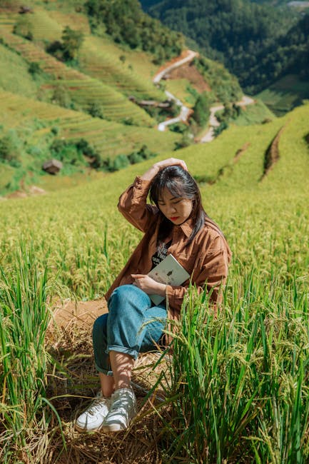 Asian woman with black hair reading in a beautiful terraced rice field on a sunny day.