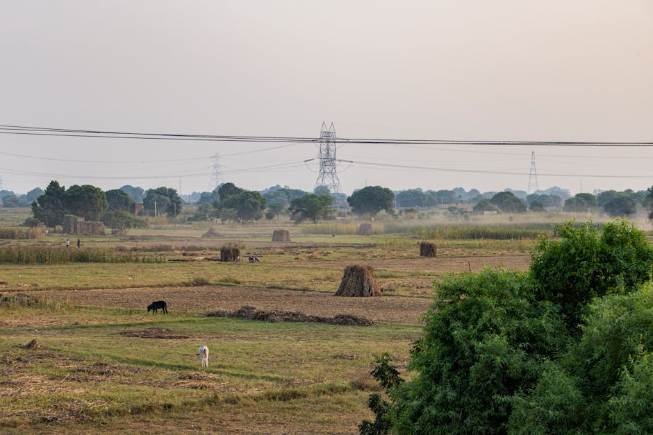 A serene rural landscape in Deeg, Uttar Pradesh, India with fields and power lines.