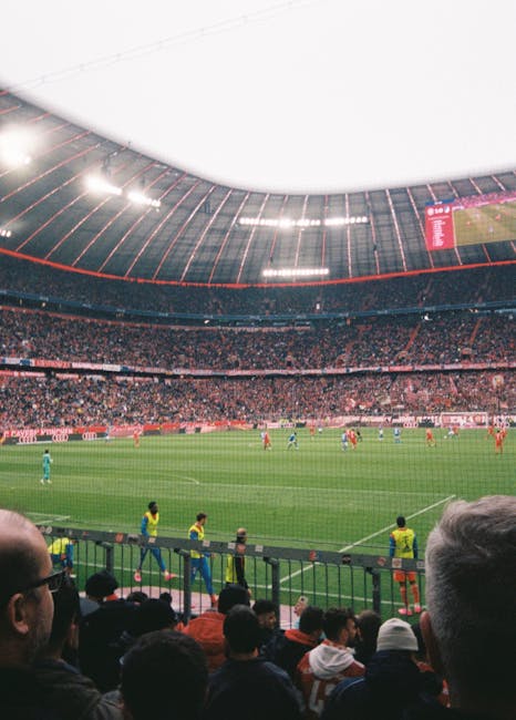 women's football fans watching match on mobile devices stadium night streaming