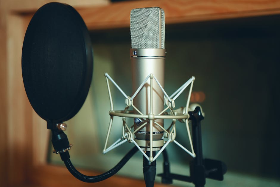 Arabic voice actor game studio microphone recording booth