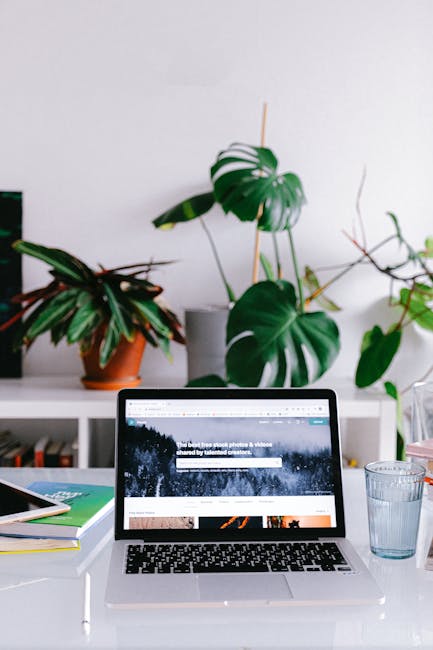 professional freelancer laptop Dubai skyline coffee Pexels
