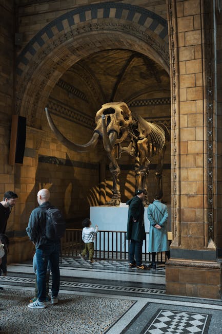Discover the awe of a mammoth skeleton displayed in a grand museum hall.